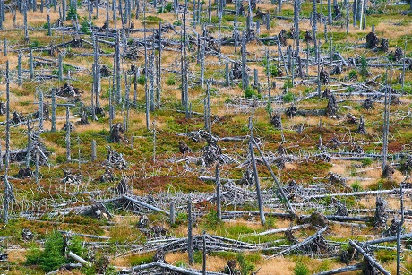 2021-12-20_Kyrill 2021-12-20_Kyrill