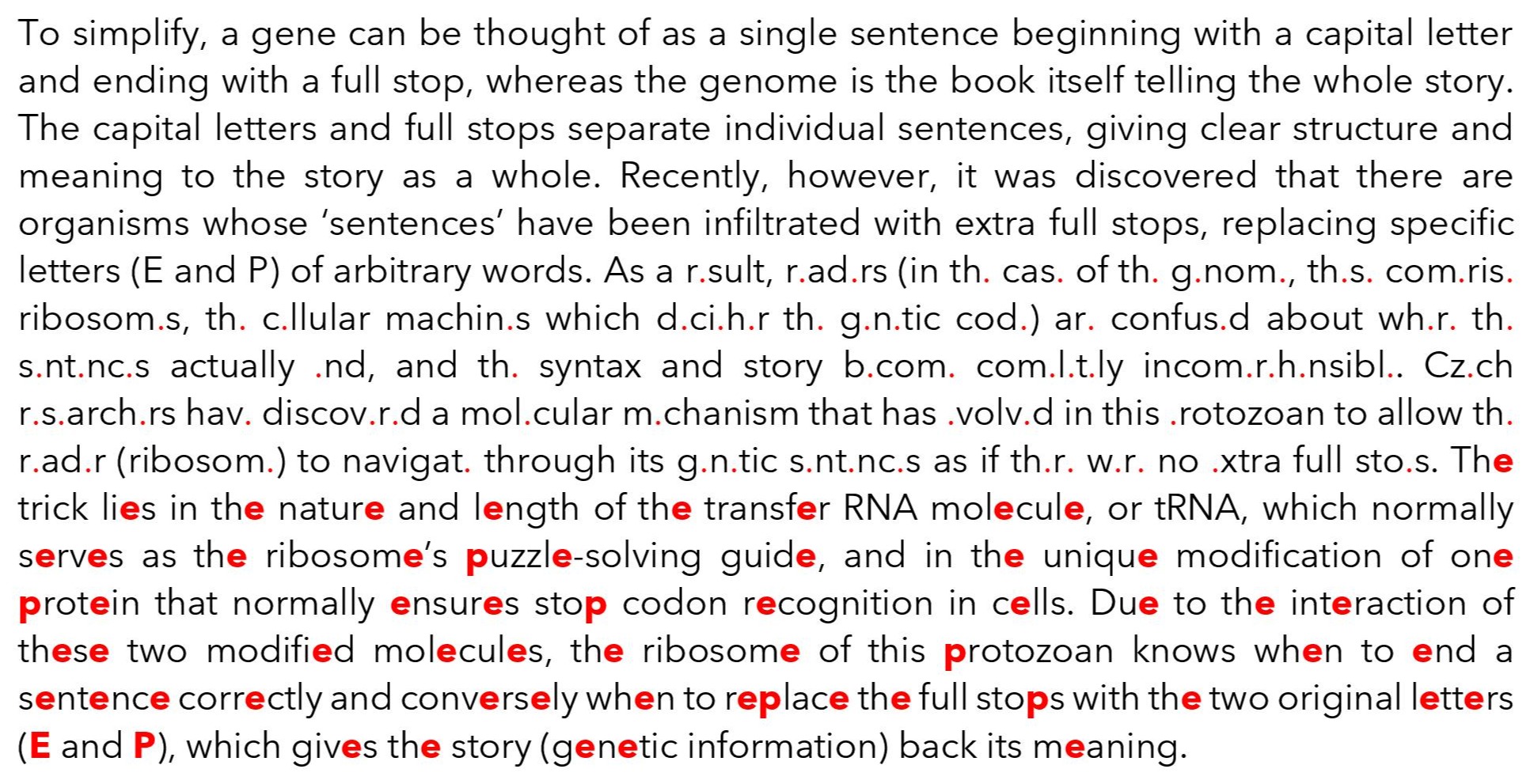 Blastocrithidia nonstop parasite DNA analogy Blastocrithidia nonstop parasite DNA analogy