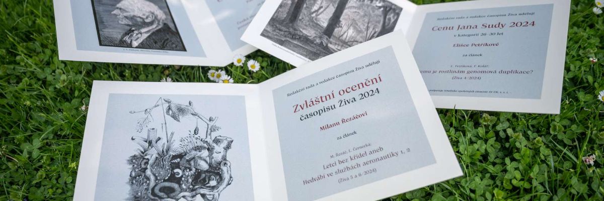 Zahlavi