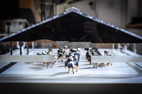 Model kravína Model kravína