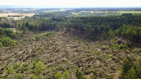 Polomy po řádění derecha Polomy po řádění derecha