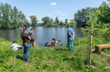 Na okraji Kroměříže se nacházejí dva Medkovy rybníky. Invazní sumeček černý se však vyskytuje jen v jednom z nich.