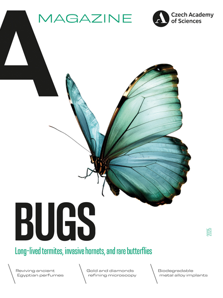 A Magazine 2025 issue BUGS cover page A Magazine 2025 issue BUGS cover page