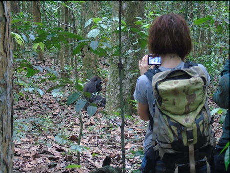 Ve Středoafrické republice Ve Středoafrické republice
