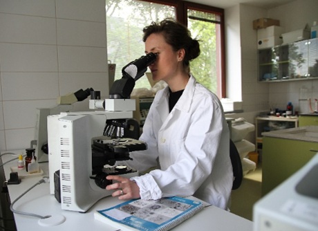 Laboratoř Laboratoř