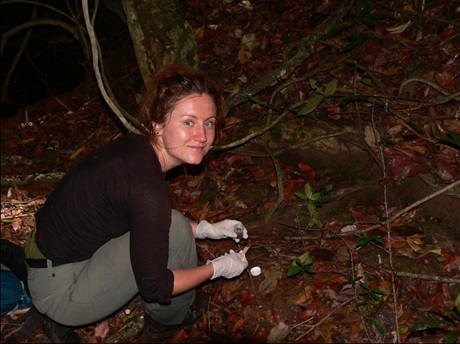 Sběr vzorků Sběr vzorků